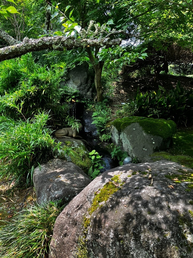 take.aさんが投稿した無上帑（ムジョウドウ）に関する口コミの画像