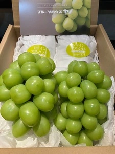 御坂果実郷