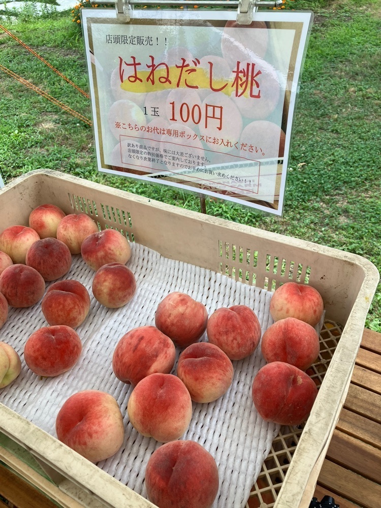 Nさんが投稿したペスカショップ（【旧店名】グリーンテーブルカフェ）に関する口コミの画像