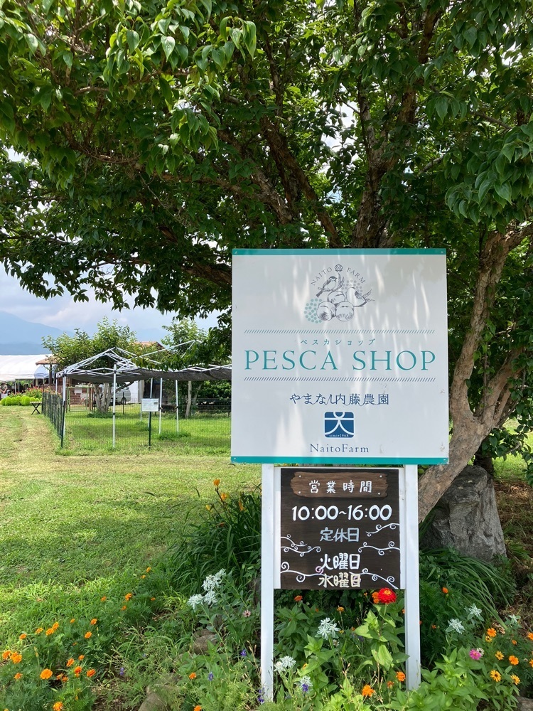 Nさんが投稿したペスカショップ（【旧店名】グリーンテーブルカフェ）に関する口コミの画像