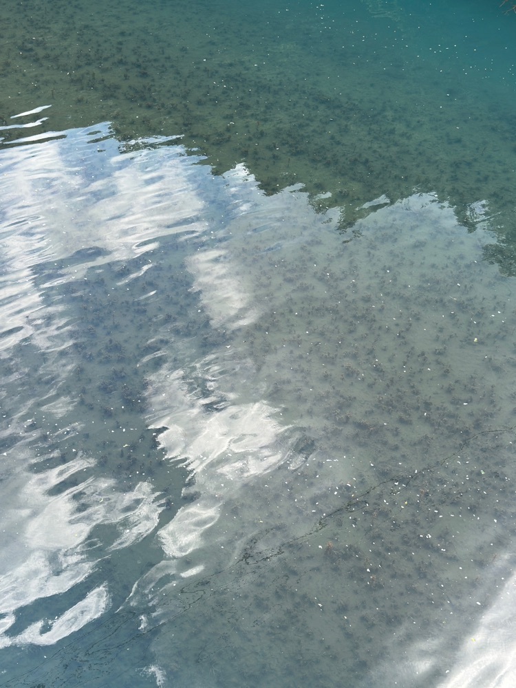 からっ風②さんが投稿した白砂山に関する口コミの画像