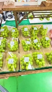 JA南彩 菖蒲グリーンセンター