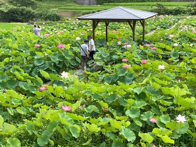 施設画像