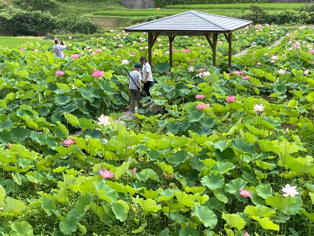 うーとらマンさんが投稿した宮地やすらぎの里に関する口コミの画像