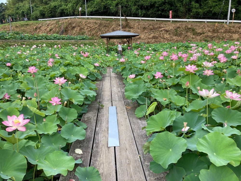 うーとらマンさんが投稿した宮地やすらぎの里に関する口コミの画像