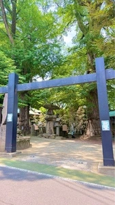 今宮神社