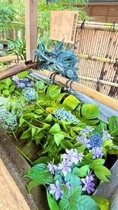 今宮神社
