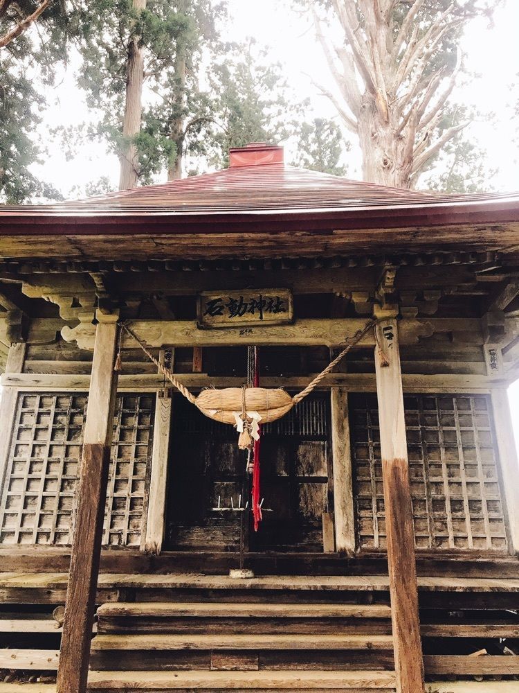 猫なぎ。さんが投稿した石動神社の親杉に関する口コミの画像