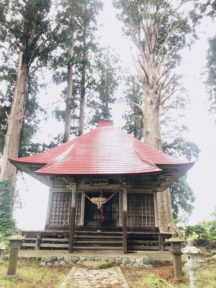 猫なぎ。さんが投稿した石動神社の親杉に関する口コミの画像