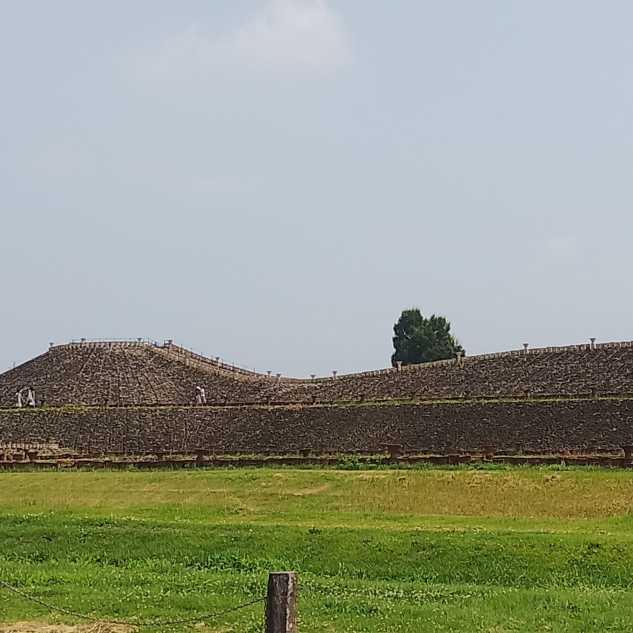 のんびりんこさんが投稿した上毛野はにわの里公園に関する口コミの画像