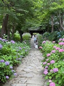 本光寺