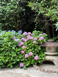 本光寺