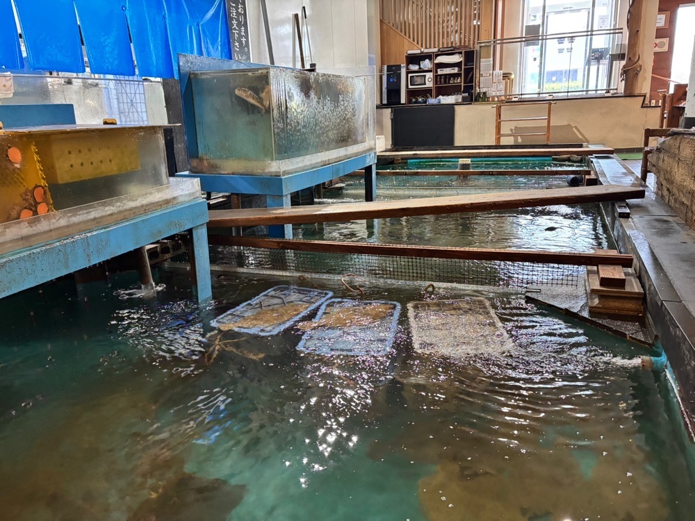 みーなさんが投稿した萩心海（ハギシンカイ）に関する口コミの画像