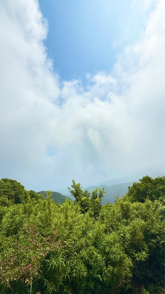 miiさんが投稿した十国峠に関する口コミの画像