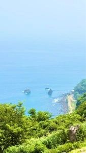 ACAO  FOREST