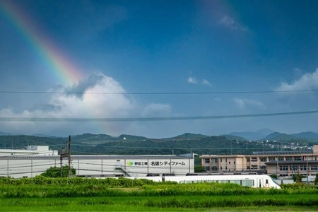 塩たいおう