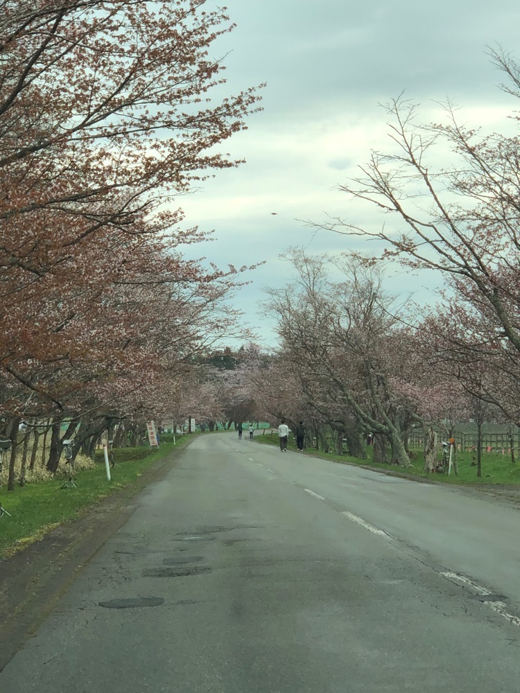gakky29さんが投稿した優駿さくらロードに関する口コミの画像