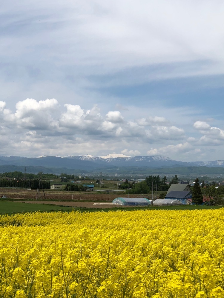 gakky29さんが投稿した滝川市に関する口コミの画像