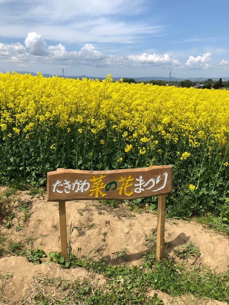 gakky29さんが投稿した滝川市に関する口コミの画像