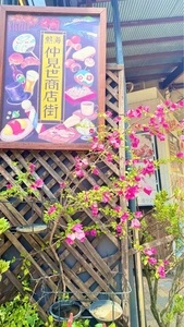 磯丸 熱海仲見世通り店