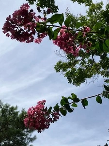 法善寺
