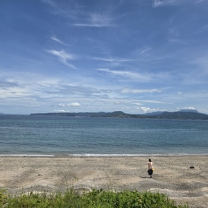 引坂海岸