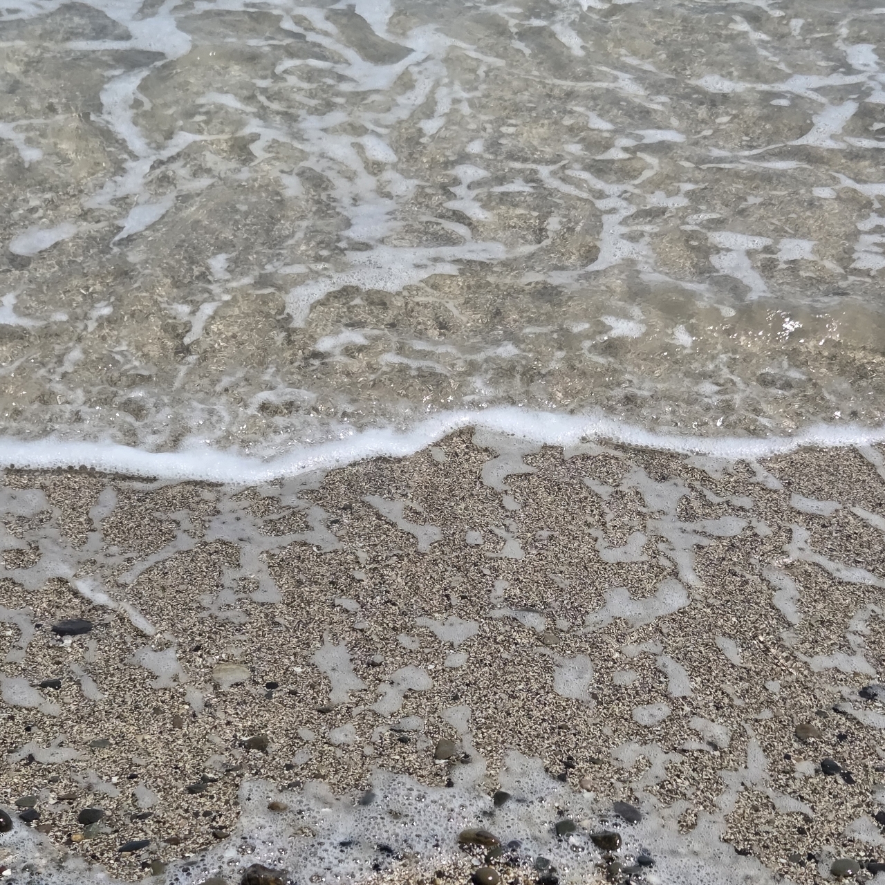 ばらっちゃんさんが投稿した引坂海岸に関する口コミの画像