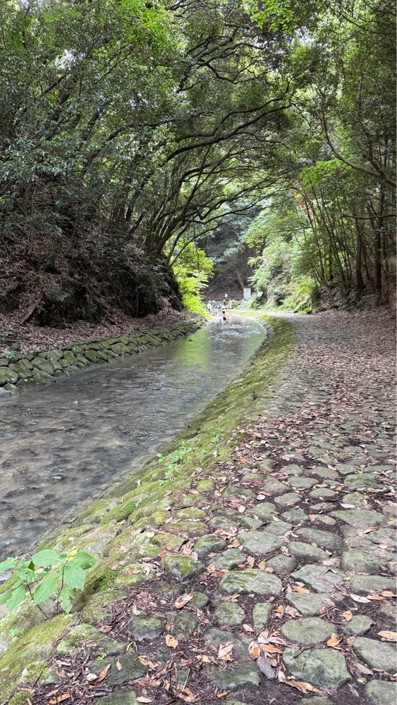 みぃさんが投稿した鮎返りの滝に関する口コミの画像