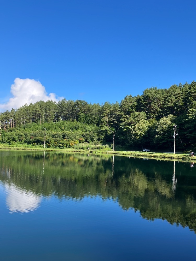 Nさんが投稿した蓼の海に関する口コミの画像