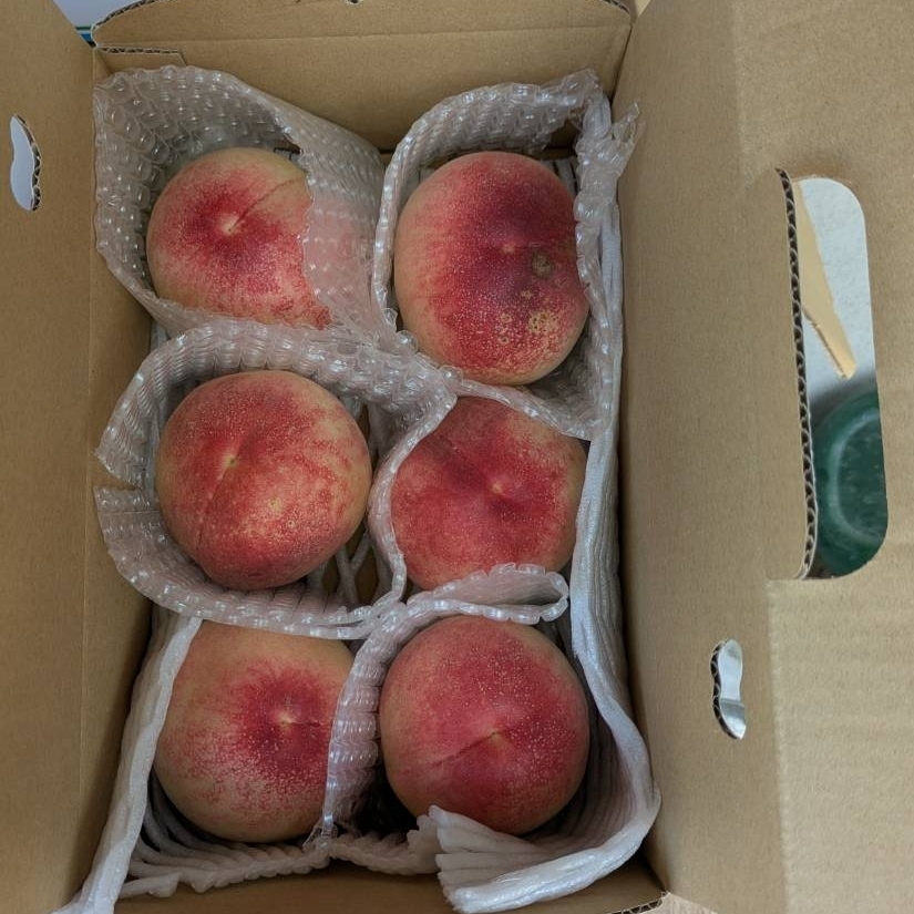 ぬっくさんが投稿した有田川町役場に関する口コミの画像