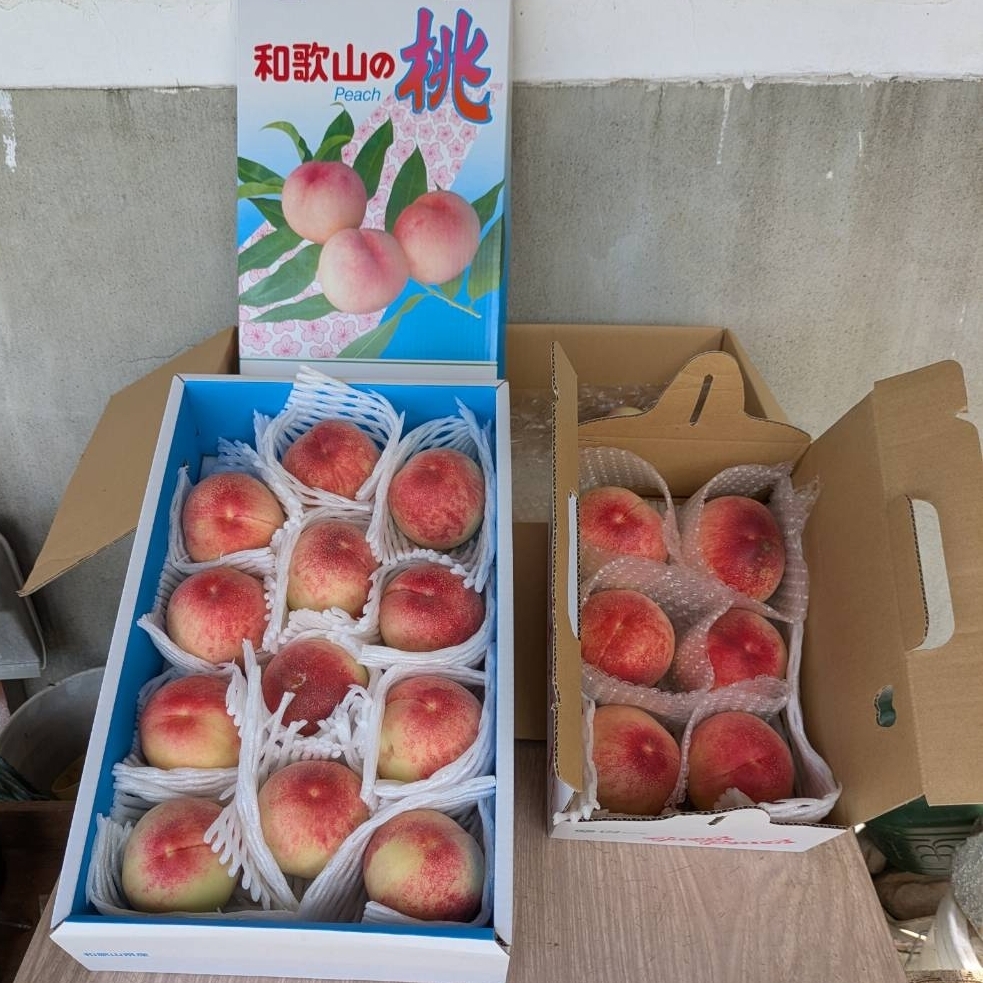 ぬっくさんが投稿した有田川町役場に関する口コミの画像