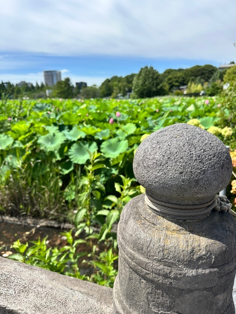 BOM-BA-YEさんが投稿した不忍池辯天堂に関する口コミの画像