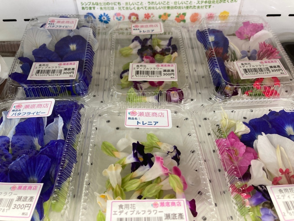 ゴンさんが投稿した本部町観光協会に関する口コミの画像
