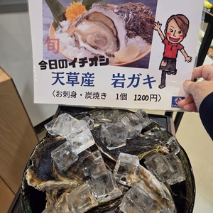 天草 海鮮蔵（あまくさ かいせんくら）