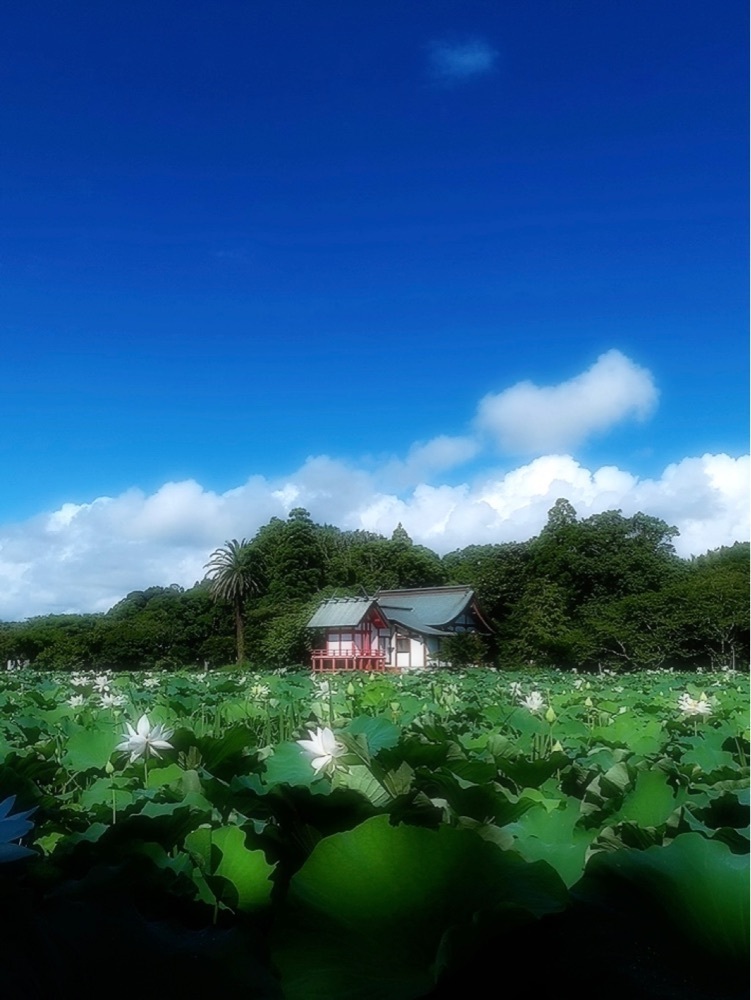 兎きち さんが投稿した湖水ケ池に関する口コミの画像