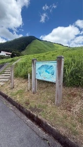 お亀池探勝道路