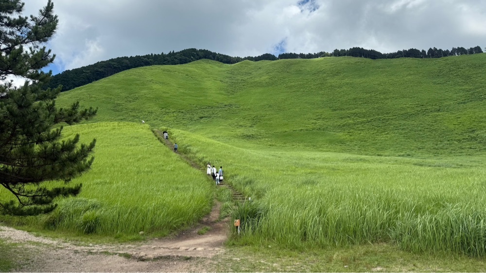 たか富山人さんが投稿したお亀池探勝道路に関する口コミの画像