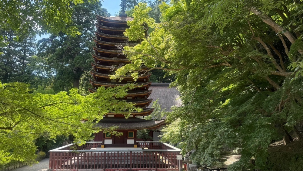 たか富山人さんが投稿した談山神社に関する口コミの画像