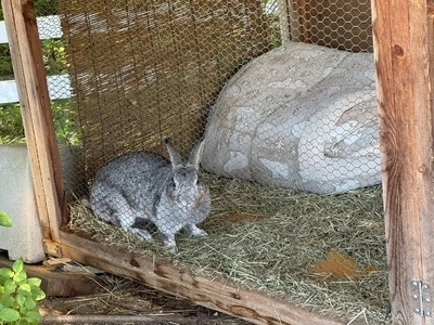 森の小径 1枚目
