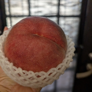あら川の桃直売所