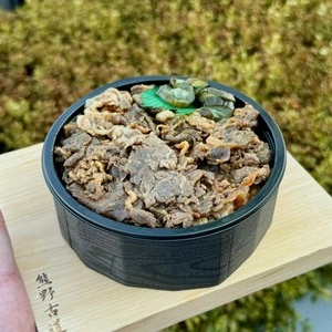 ごちそう 一乃松 繊協ビル店