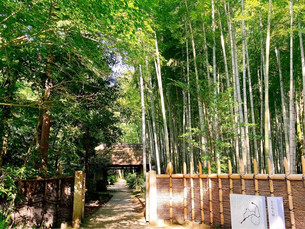 active34さんが投稿した東山旧岸邸に関する口コミの画像