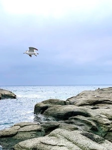 千畳敷海岸