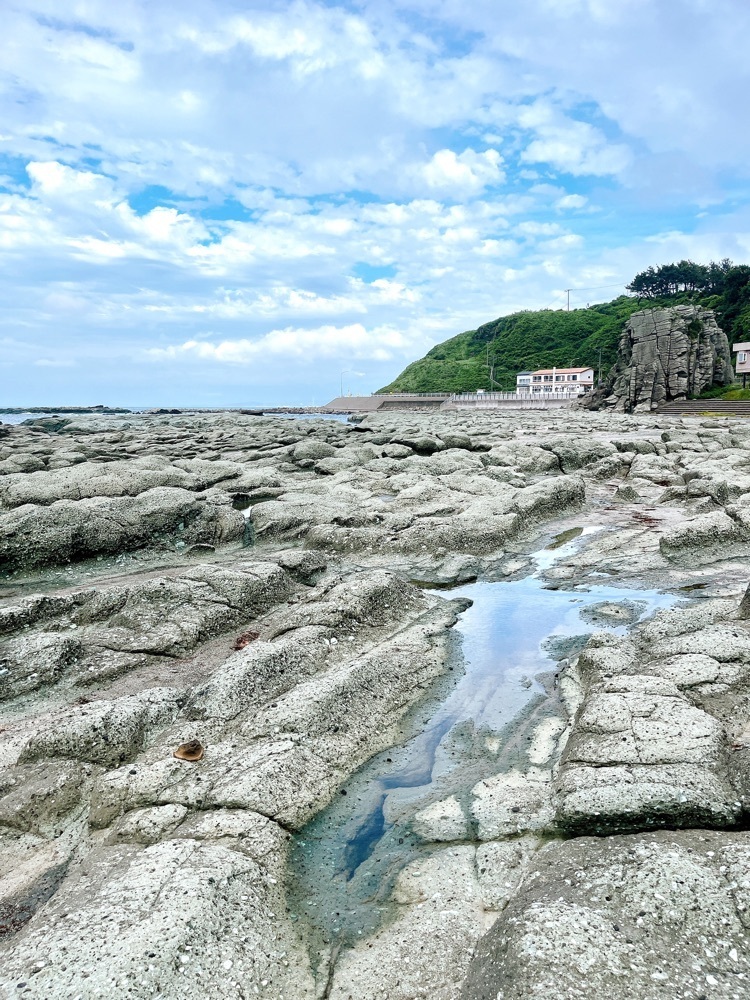 猫なぎ。さんが投稿した千畳敷海岸に関する口コミの画像