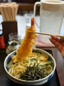 藤店うどん（ふじだなうどん）