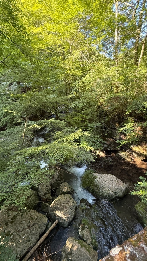 みぃさんが投稿した長沢の滝に関する口コミの画像