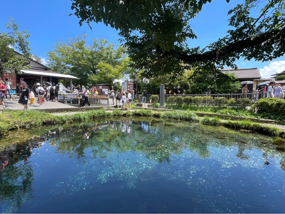 active34さんが投稿した忍野八海名泉そばに関する口コミの画像