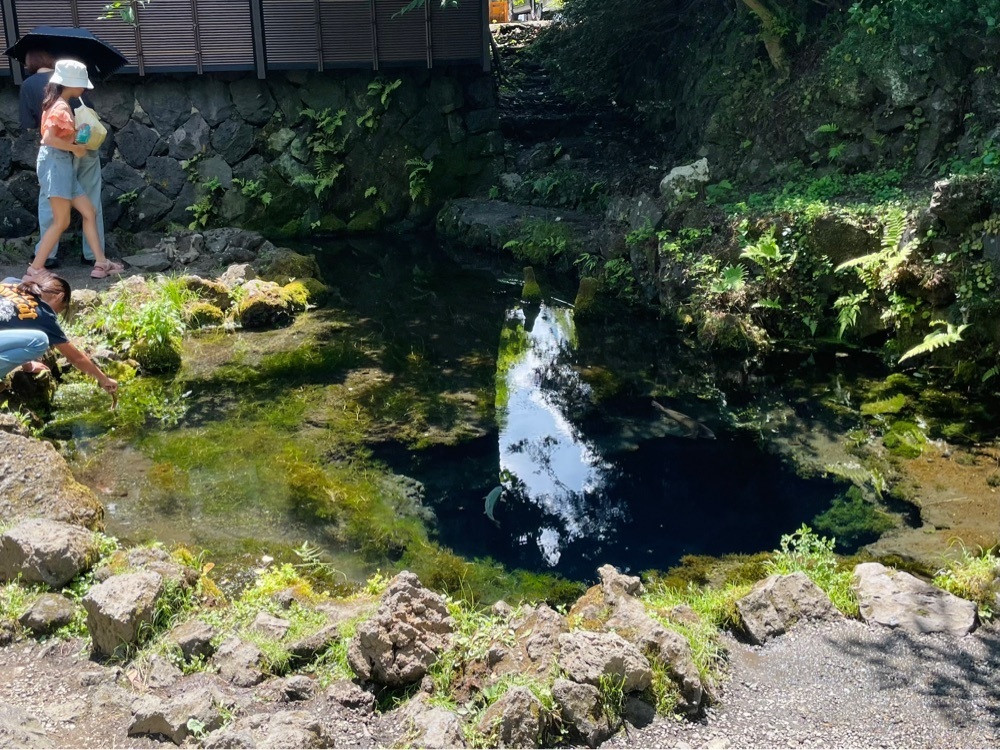 active34さんが投稿した忍野八海名泉そばに関する口コミの画像