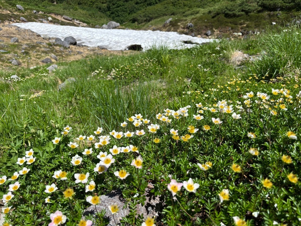 それなはとけさんが投稿した立山黒部アルペンルートに関する口コミの画像