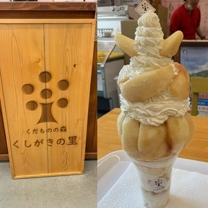 道の駅 くしがきの里